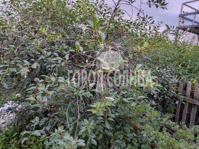 Продажа дачи Омск.&nbsp;СОСН Карат