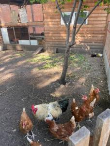 Продажа дома Омск.&nbsp;7-я Солнечная ул, 87