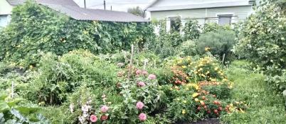 Продажа дома Таврическое 