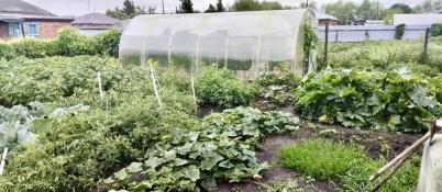 Продажа дома Таврическое 