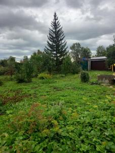 Продажа дачи Омск.&nbsp;СОСН Полёт-2