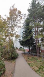 Продажа квартиры Омск.&nbsp;улица Молодова 10