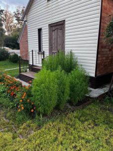 Продажа дома с. Березовка, ул. Мичурина