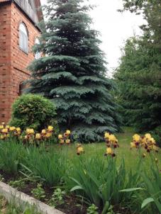 Продажа дома СНТ 