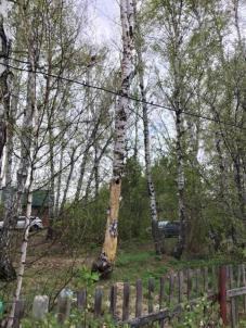 Продажа дачи Омск.&nbsp;СНТ Маяк-1