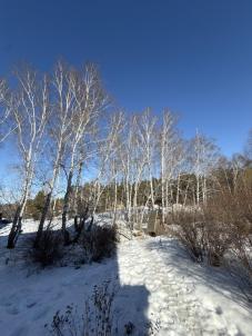 Продажа коттеджа д. Прудки