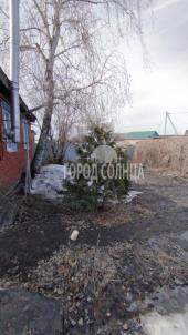 Продажа дома Омск.&nbsp;Красноярова