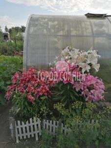 Продажа дачи Омск.&nbsp;