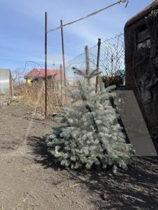 Продажа дачи Омск.&nbsp;Старый Кировск,