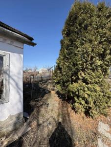 Продажа дачи Омск.&nbsp;Бодрость-1 тер.СОСН.&nbsp;269