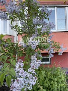 Продажа квартиры Омск.&nbsp;ул. Заозерная,25 корп. 2