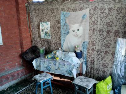 Продажа дачи Омск.&nbsp;СНТ 