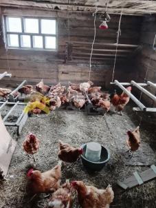 Продажа дома улица Ленина, 99