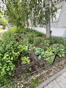 Продажа квартиры Омск.&nbsp;Кирова ул, 7