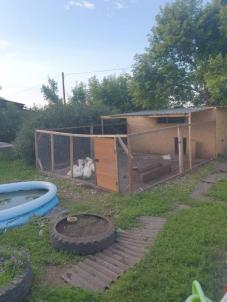 Продажа дома Молодежная, 12