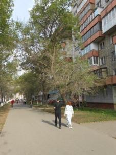 Продажа квартиры Омск.&nbsp;Масленникова, 60