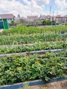 Продажа квартиры Омск.&nbsp;ул. 3-я Ленинградская, 11