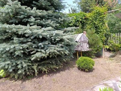Продажа дачи Омск.&nbsp;тер СОСН Содружество, 247