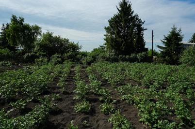 Продажа дачи д. Половинки.&nbsp;.&nbsp;д. Половинки