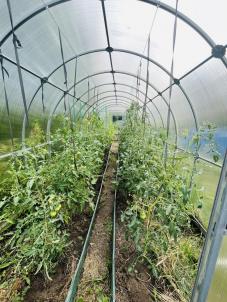 Продажа дома Ландыш