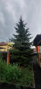 Продажа дома улица Омская, 75