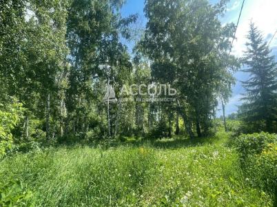 Продажа дома Омск.&nbsp;тер.СОСН. Рассвет (Октябрьский)