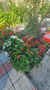 Продажа квартиры Омск.&nbsp;24-я Северная ул, 102