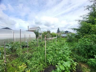Продажа дома Омск.&nbsp;Колос (Большие Поля) тер.СОСН.&nbsp;344