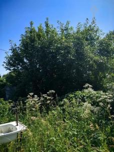 Продажа дома Омск.&nbsp;СНТ Яблонька, 12-45