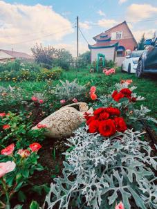Продажа дачи Омск.&nbsp;сосн шинник-3