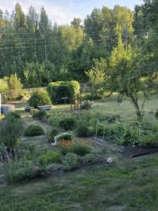Продажа дачи Марьяновский.&nbsp;Степное.&nbsp;.&nbsp;Степное