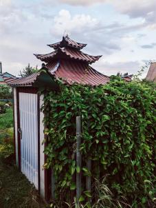 Продажа дачи Омск.&nbsp;СТ ШИННИК-3