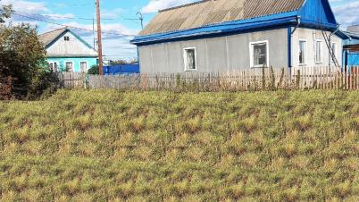 Продажа земли Любинский район Островского