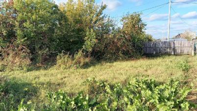 Продажа земли Любинский район Островского
