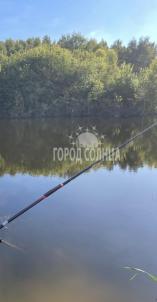 Продажа дачи Омск.&nbsp;Осташково, , снт Прогресс 5