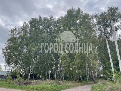 Продажа дачи Омск.&nbsp;Осташково, , снт Прогресс 5